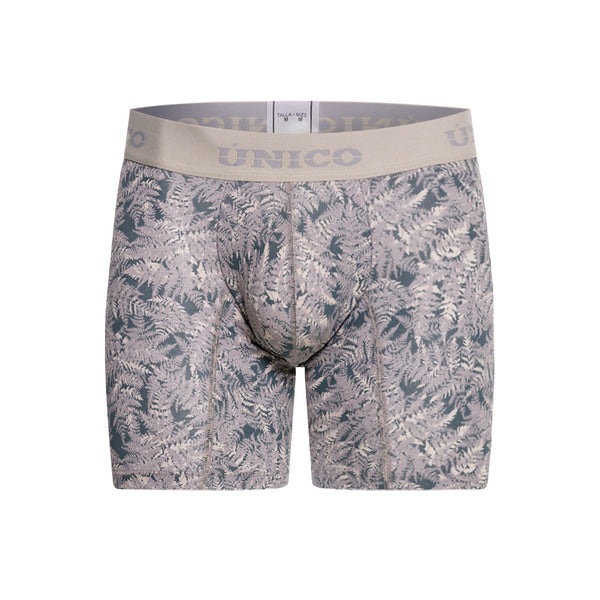 BOXER MEDIO MINSK GRIS